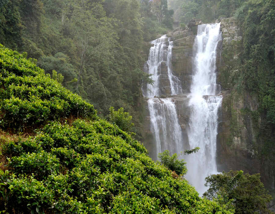 Tour Image